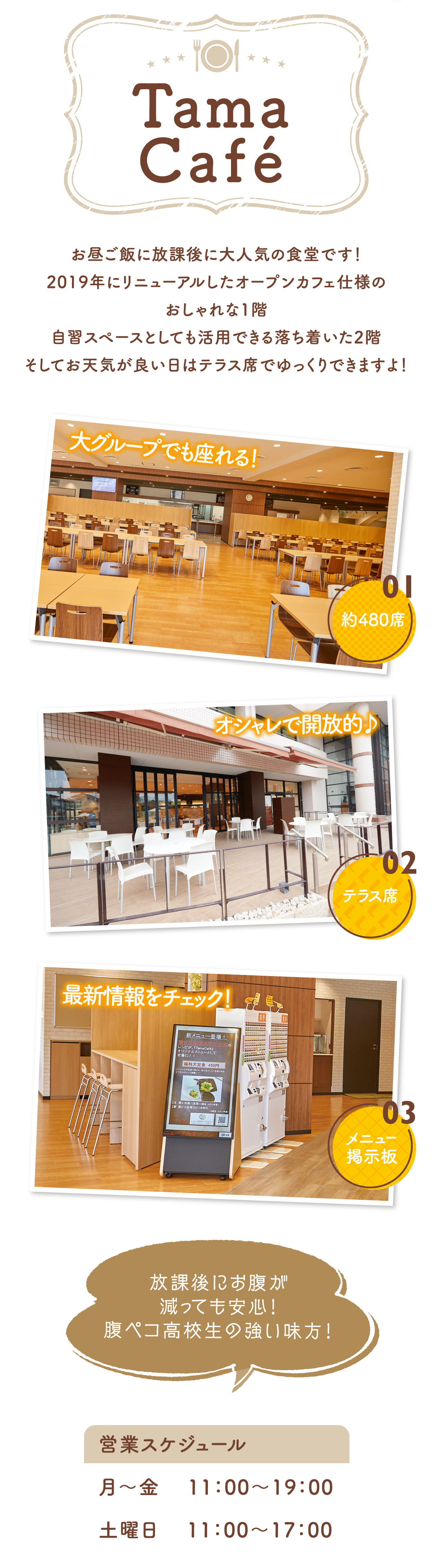 Tama Café お昼ご飯に放課後に大人気の食堂です！2019年にリニューアルしたオープンカフェ仕様のおしゃれな1階自習スペースとしても活用できる落ち着いた2階そしてお天気が良い日はテラス席でゆっくりできますよ！